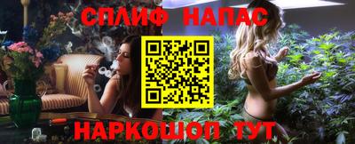 прущие грибы Славгород